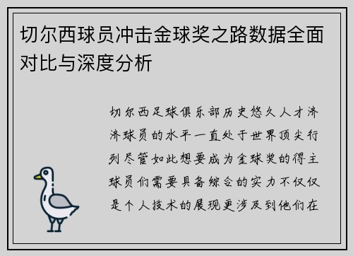 切尔西球员冲击金球奖之路数据全面对比与深度分析