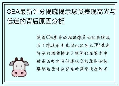 CBA最新评分揭晓揭示球员表现高光与低迷的背后原因分析